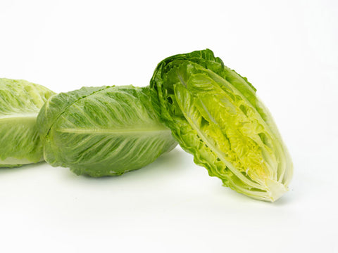 Lettuce, Hamberg Organic