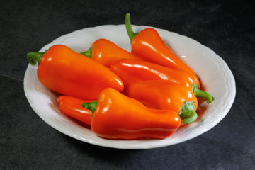 Peppers, Orange Delite