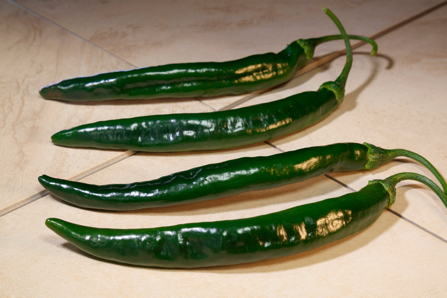 Peppers, Campesino Hybrid