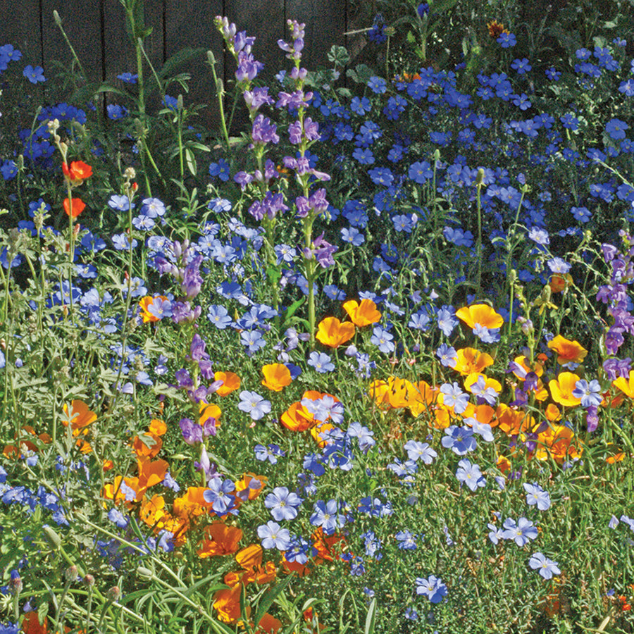 Pollinators, Xeriscape West